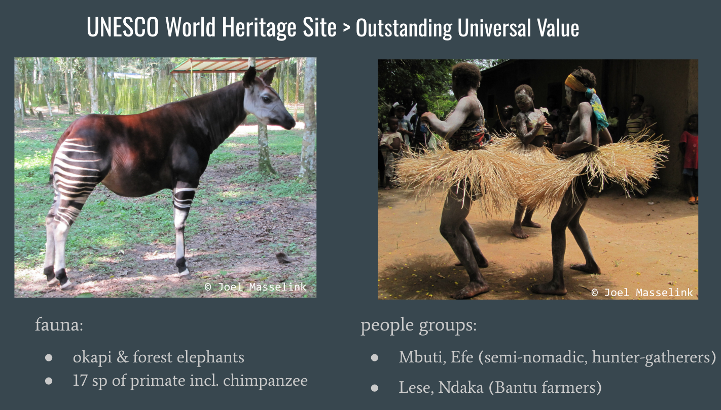 Okapi Reserve Reflections